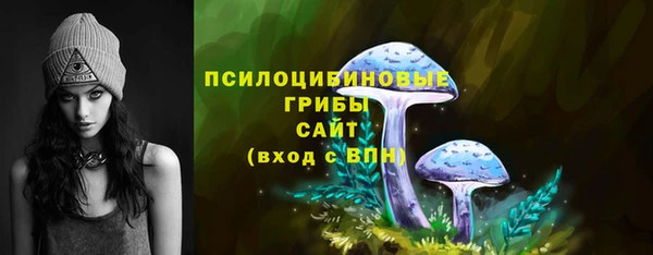 мет Медвежьегорск