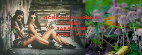 мет Медвежьегорск