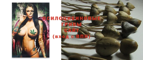 спайс Мегион