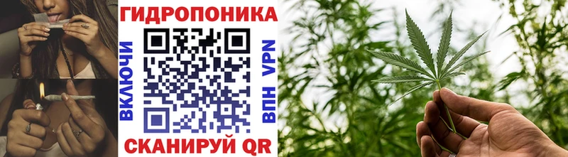 Купить Нерюнгри Бошки Шишки THC 21%
